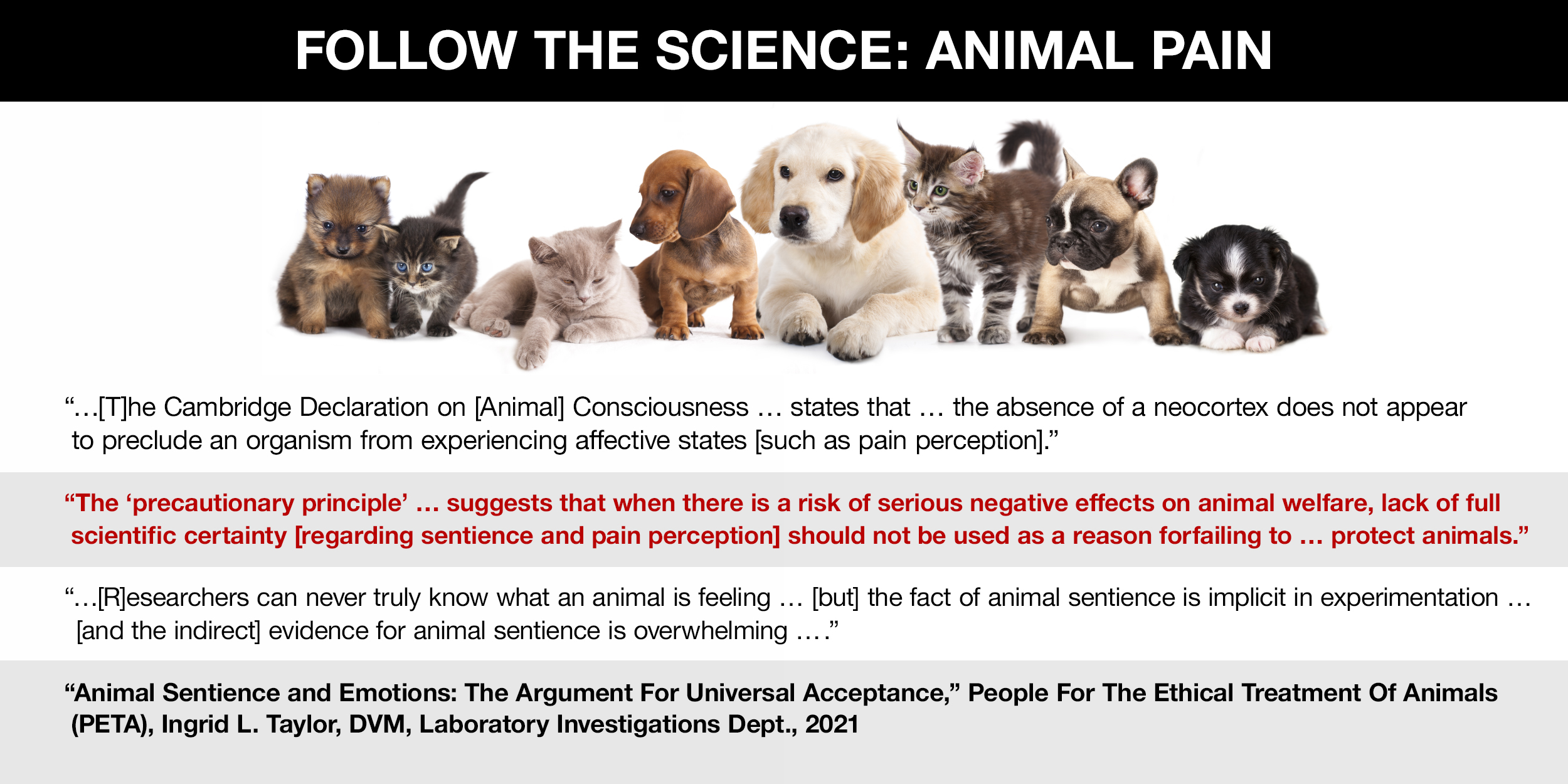 Follow the Science: Animal Pain - The precautionary principle suggests that when there is a risk of serious negative effects on animal welfare a lack of certainty should not be used as a reason