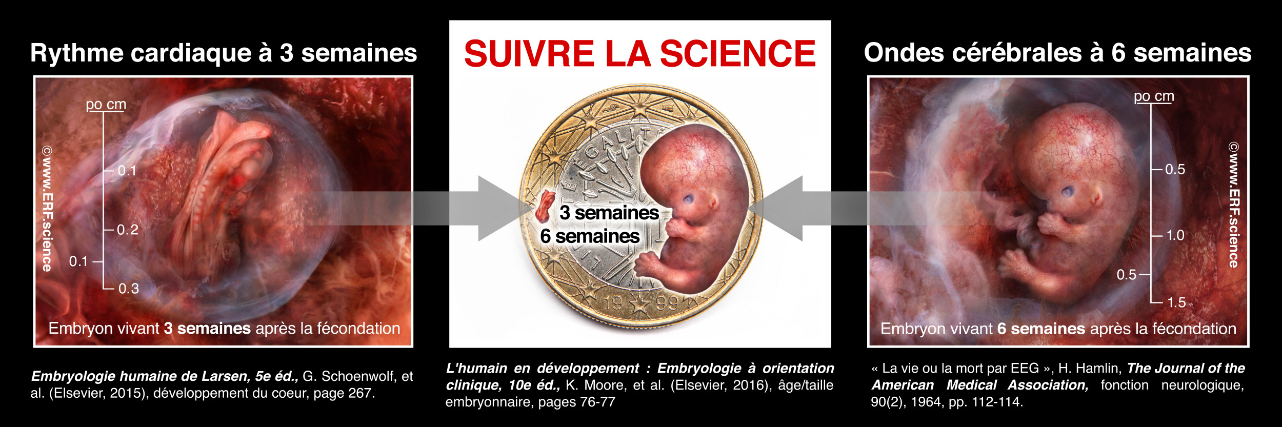 Follow the Science FRANCE