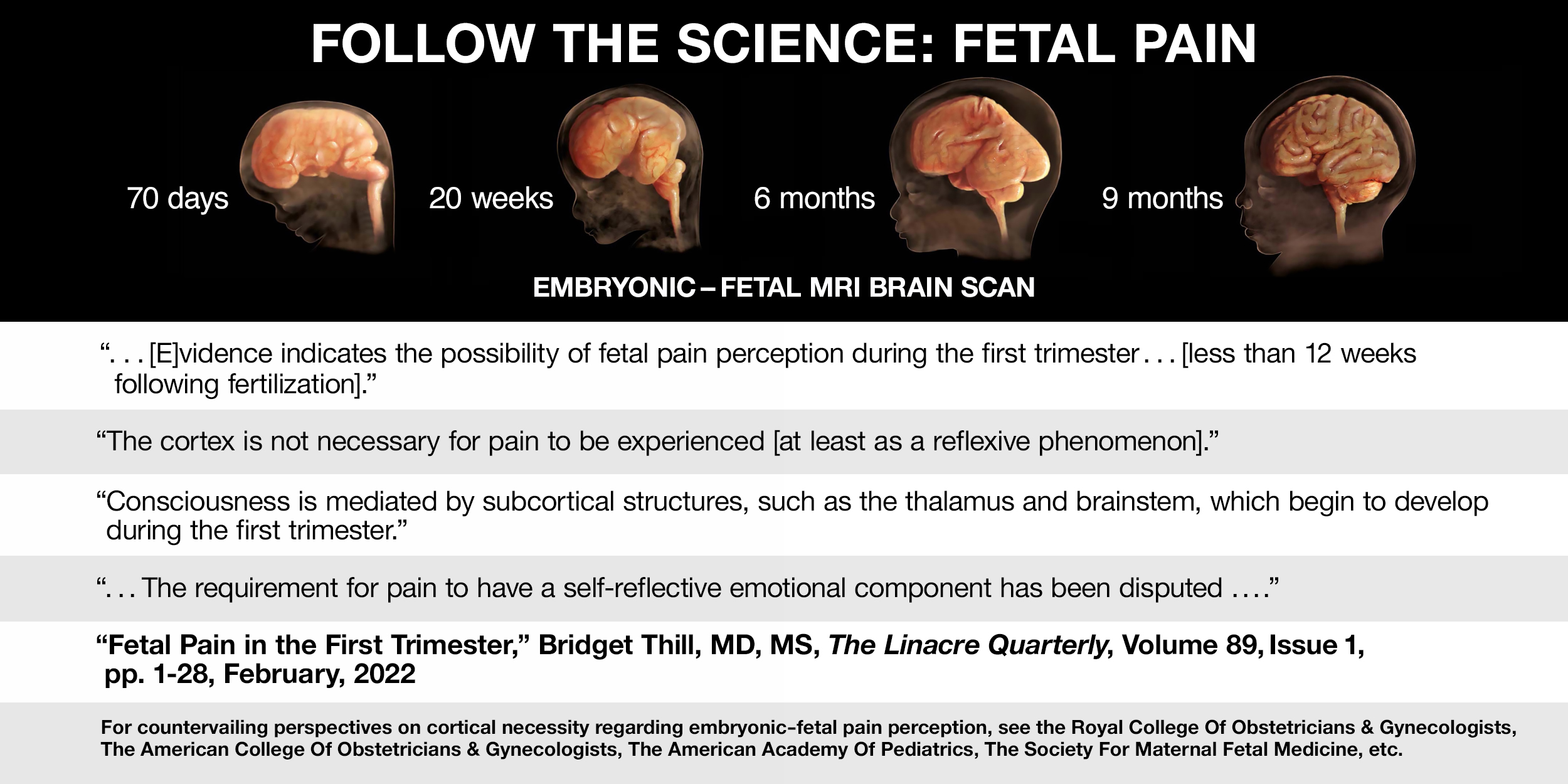 Follow the Science: Fetal pain evidence indicates the possibility of fetal pain perception during the first trimester