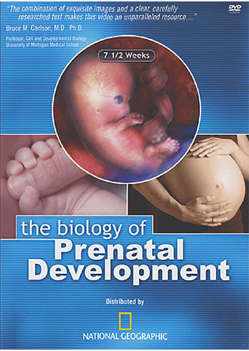 the biology prenatal of development