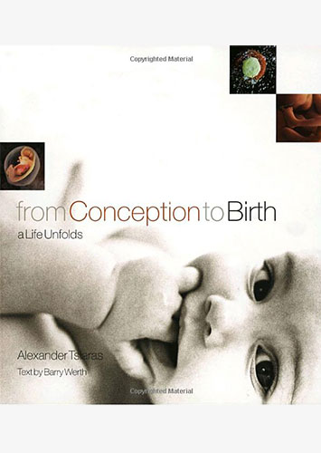 from conception to birth