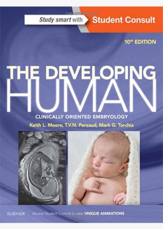 the developing human