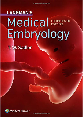 langmans medical embryology