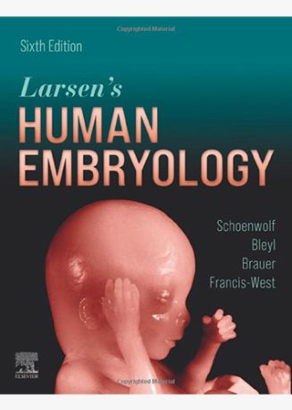 larsens human embryology