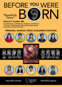 English BEFORE YOU WERE BORN POSTER