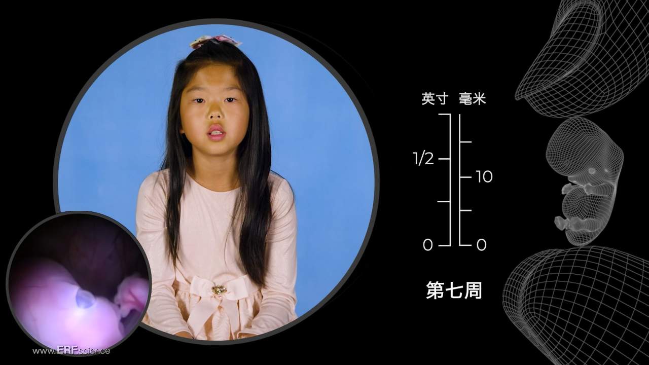 Before You Were Born – Chinese (Simplified) – (1280 x 720)