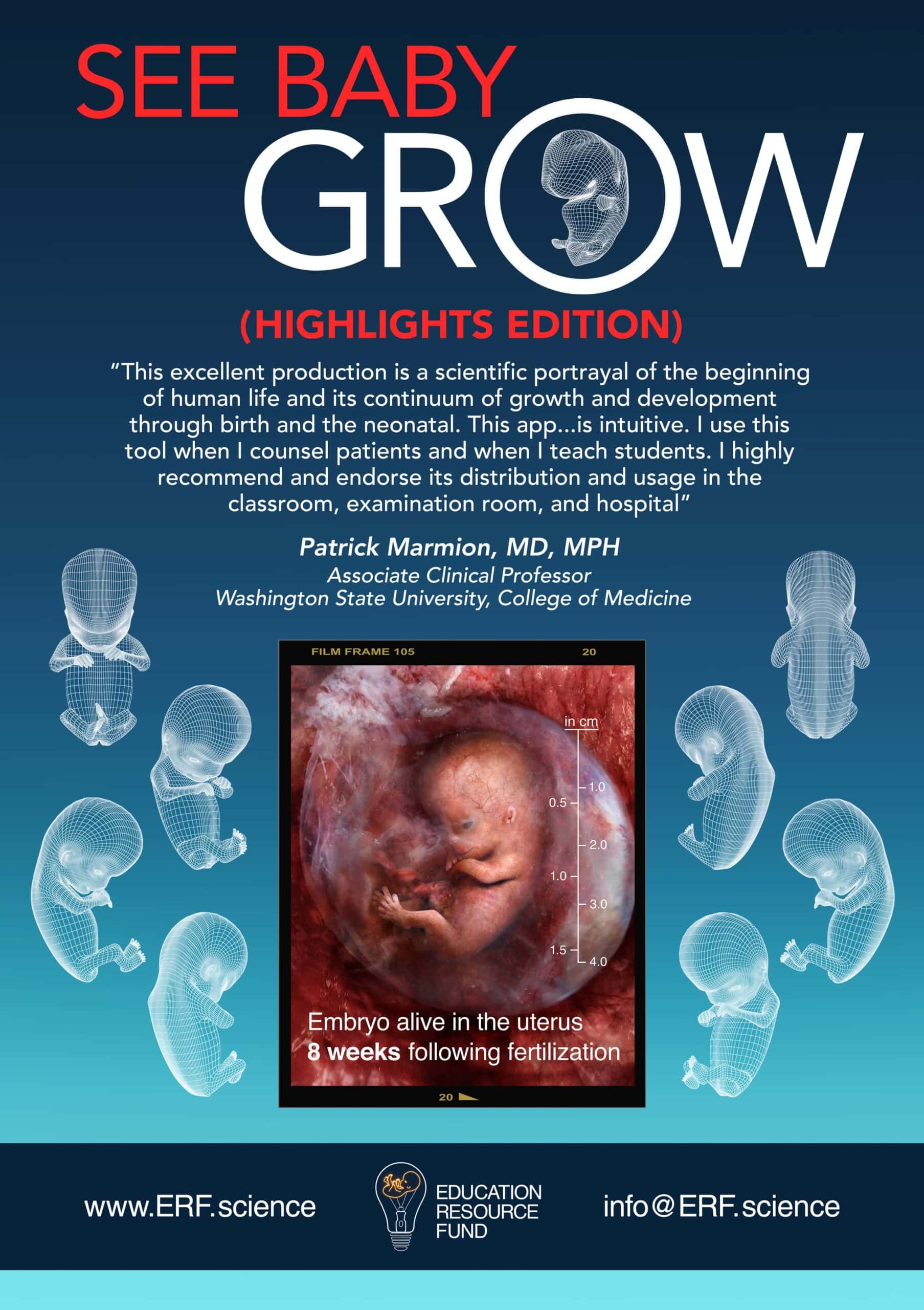 See Baby Grow Highlights Poster