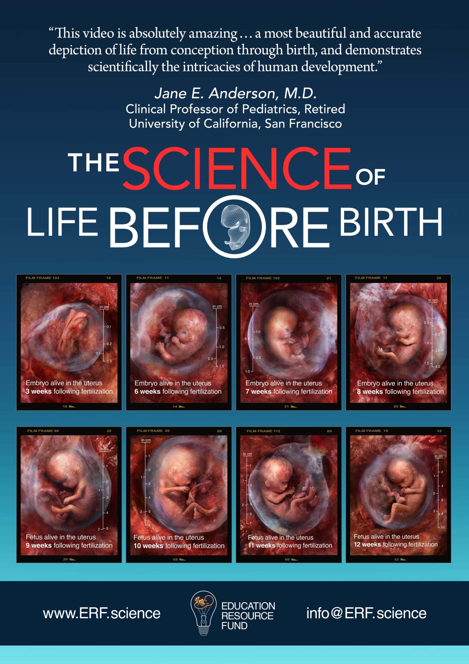 The Science of Life before Birth - Movie Poster
