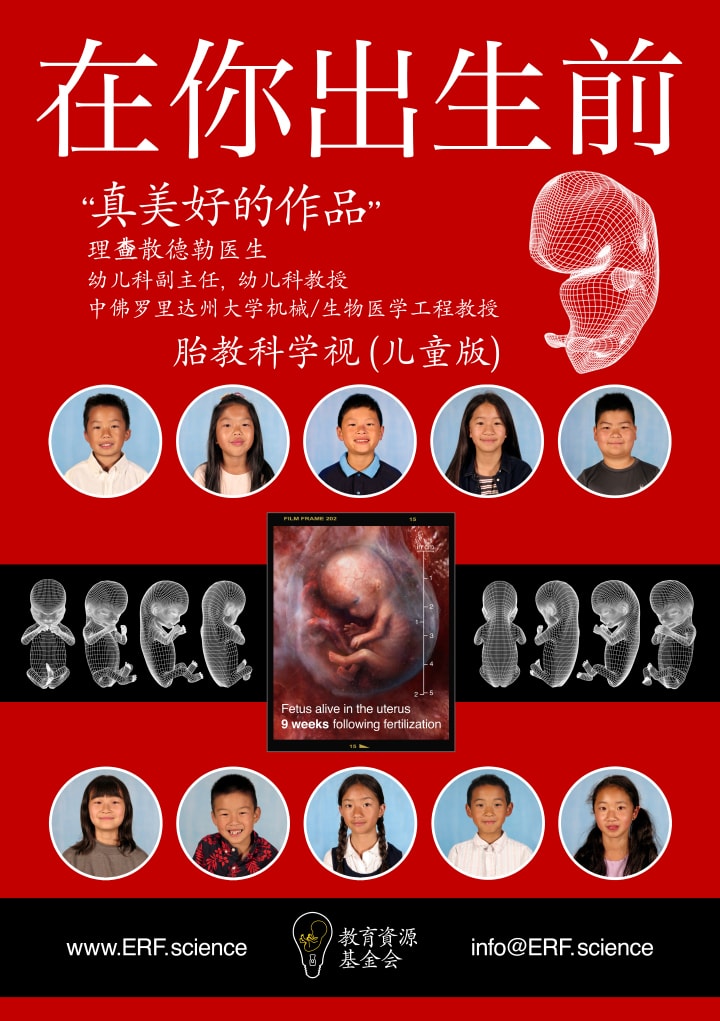 Chinese Simplified - Before You Were Born - Movie Poster -