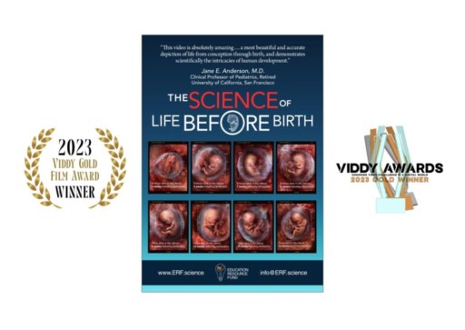 Viddy Award - Science of Life Befor Birth Video