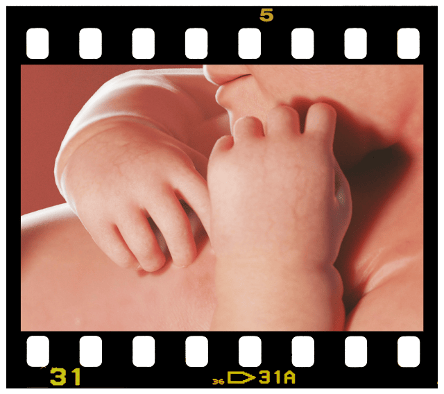 6 Months – Embryonic & Fetal Video Clips