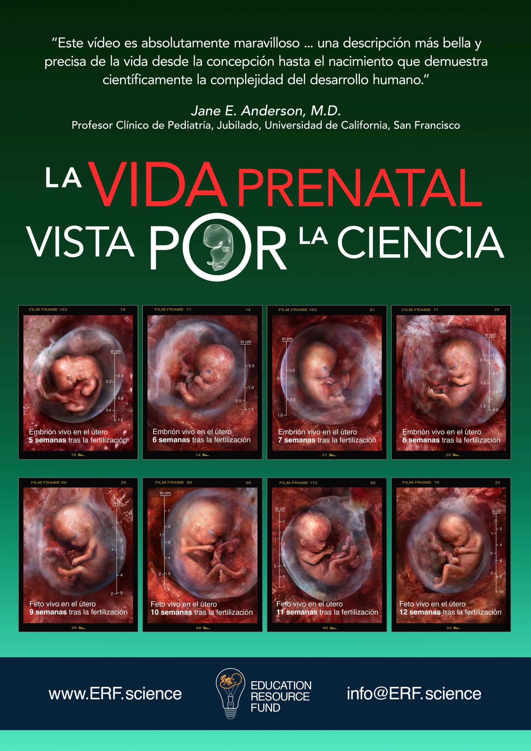 The science of Life before Birth - La vida Prenatal Vista pr la ciencia - movie cover
